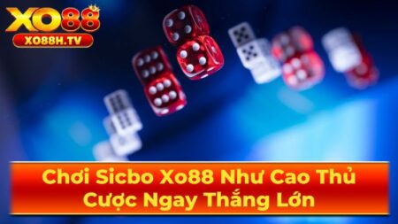 Luật Chơi Sicbo Cơ Bản - Điều Cần Biết Cho Người Mới