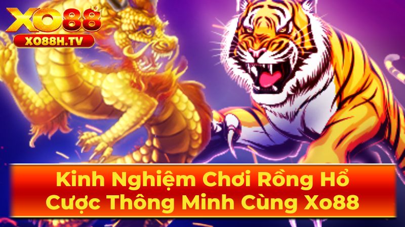 Kinh Nghiệm Chơi Rồng Hổ: Cược Thông Minh Cùng Xo88 3 Những Mẹo Chơi Rồng Hổ Hiệu Quả
