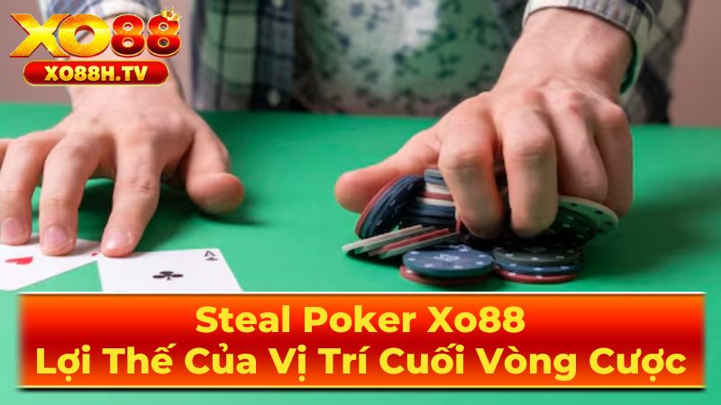 Những Điều Cần Lưu Ý Khi Áp Dụng Steal Poker