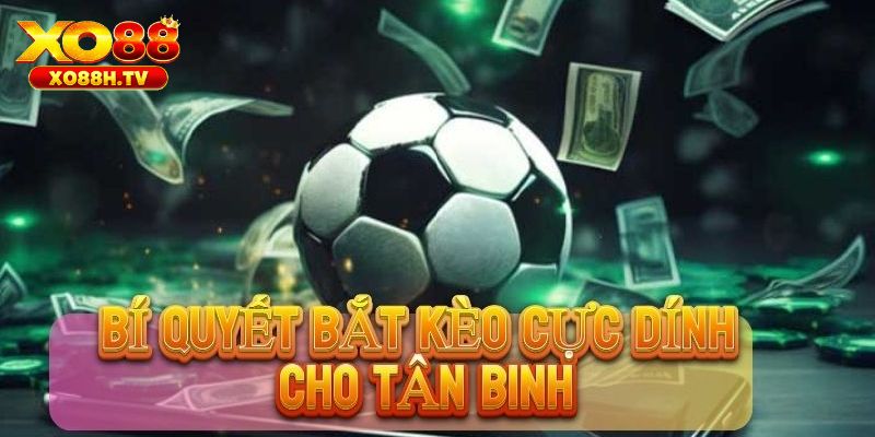 Mẹo chơi kèo handicap 