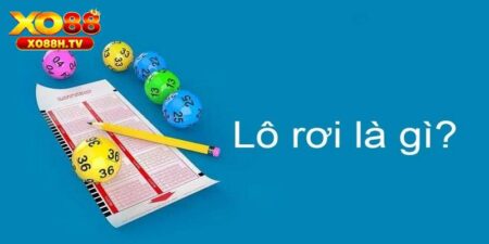 Lô Rơi Là Gì? Giải Mã Những Cách Soi Kèo Lô Hiệu Quả Từ Xo88