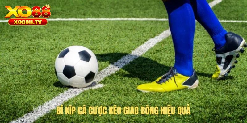 Những lưu ý cần thiết 