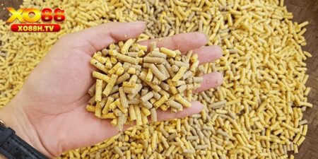 Thức Ăn Tốt Nhất Cho Gà Chọi - Bật Mí Top Lựa Chọn 